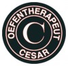 logo Cesar